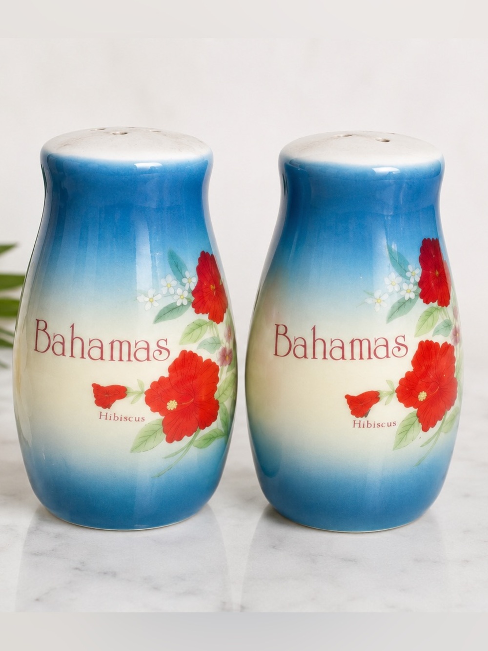 Vintage BAHAMAS SALT & PEPPER Shakers 1991 Souvenir Porcelain